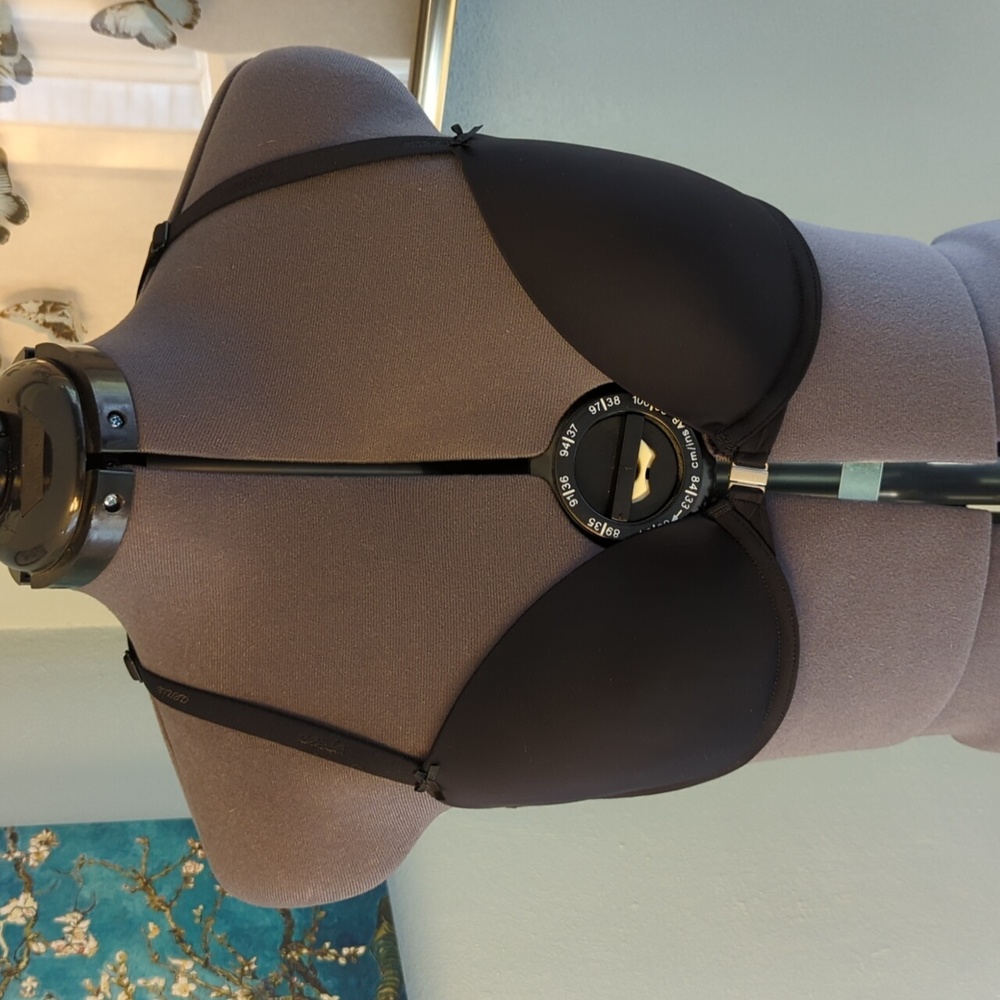 aerie Black T-Shirt Push-Up Bra